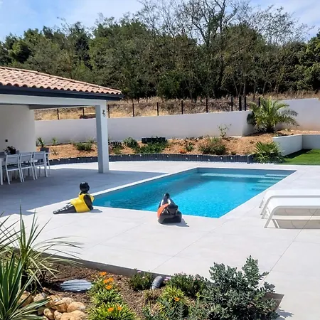Modern With Pool